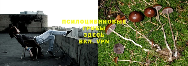 СК Алзамай