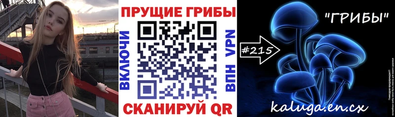 Галлюциногенные грибы Psilocybe  Купить где  Алупка 